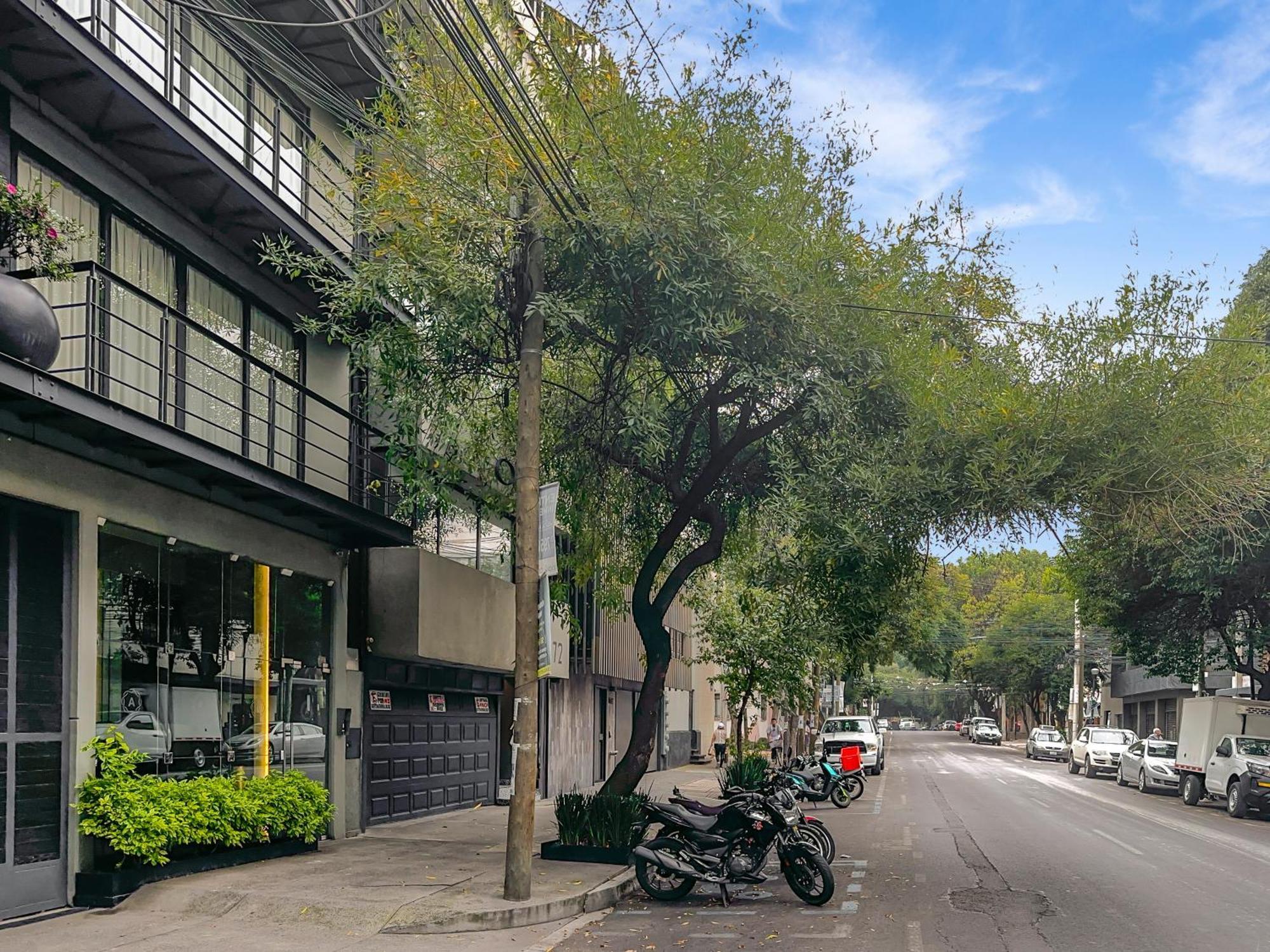 Armonik Suites By Casanevo Mexico-stad Buitenkant foto
